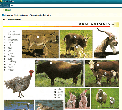 دانلود دیکشنری تصویری Longman Photo Dictionary