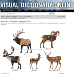 دیکشنری تصویری آنلاین Visual Dictionary Online